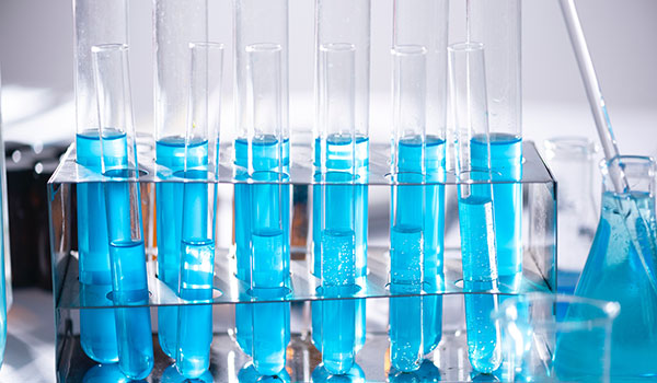 Dalle piume rinnovabili ai giochi online,