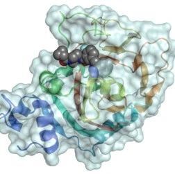 特别关注 | PARP抑制剂的工作原理究竟是什么？